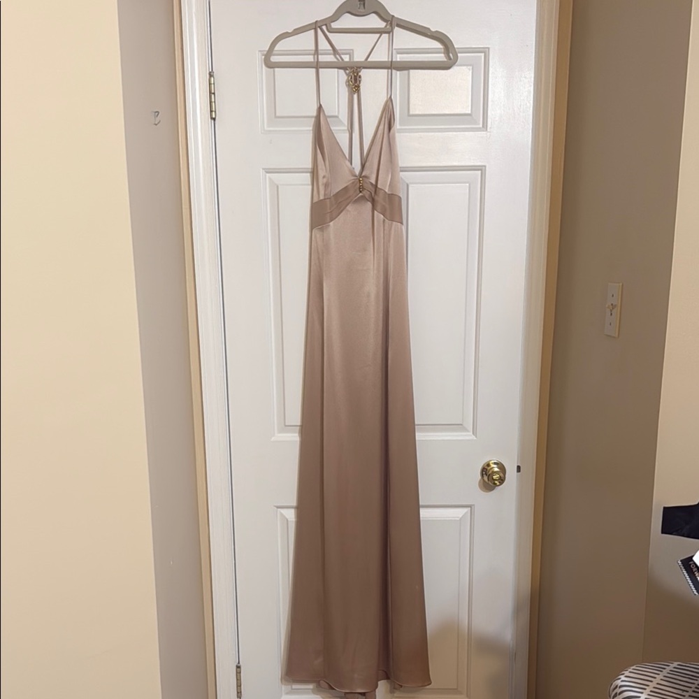 Laundry By Shelli Segal Champagne Backless Dress